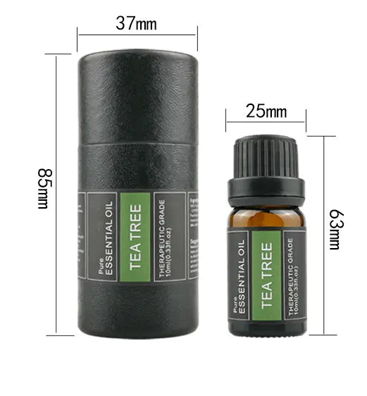 Aromatherapy Essential Oils and Fragrance Oil (6 Pack)