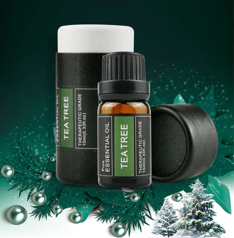Aromatherapy Essential Oils and Fragrance Oil (6 Pack)