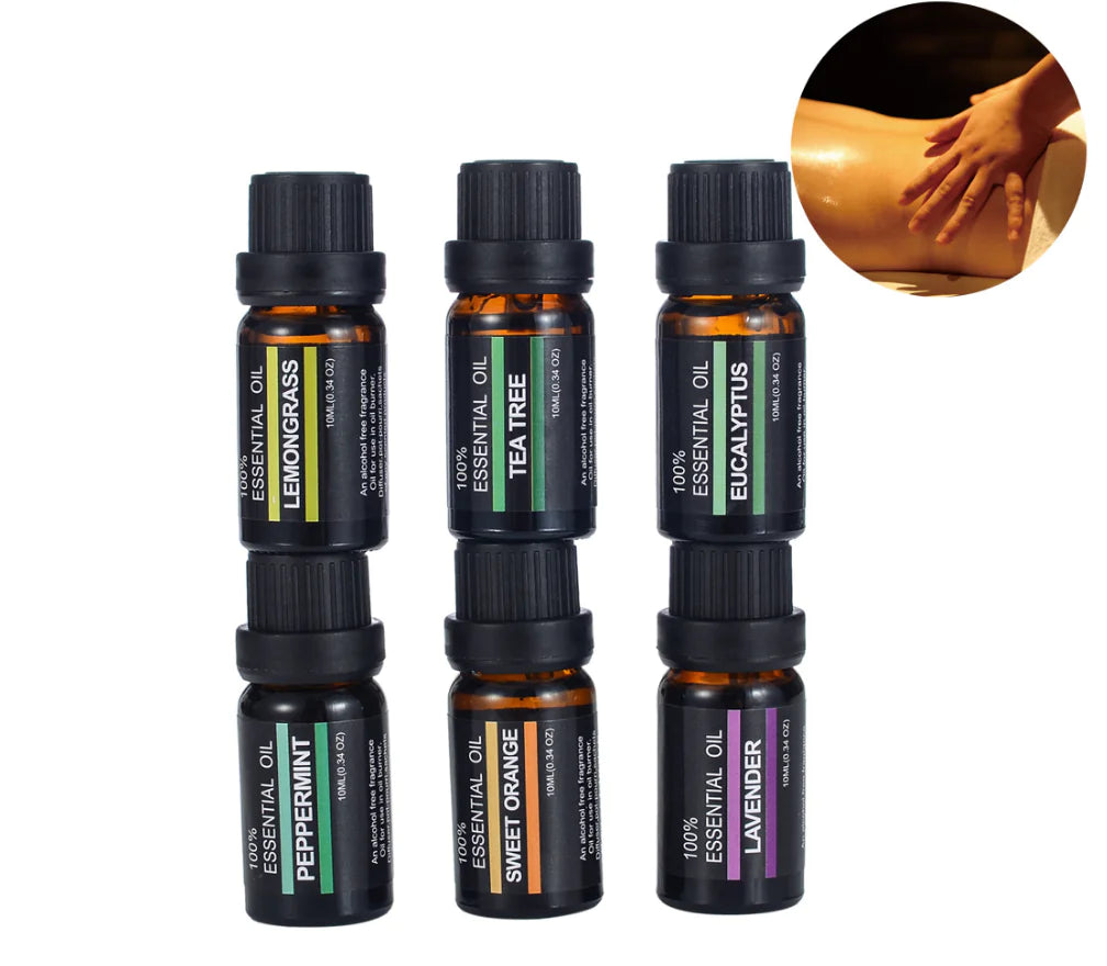 Aromatherapy Essential Oils and Fragrance Oil (6 Pack)